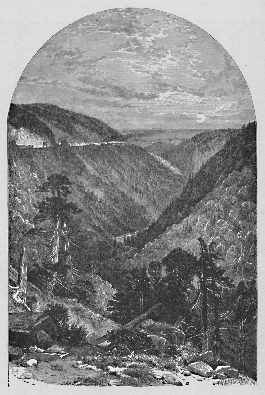 Vue à Allegrippus, 1883 - Meeder and Chubb