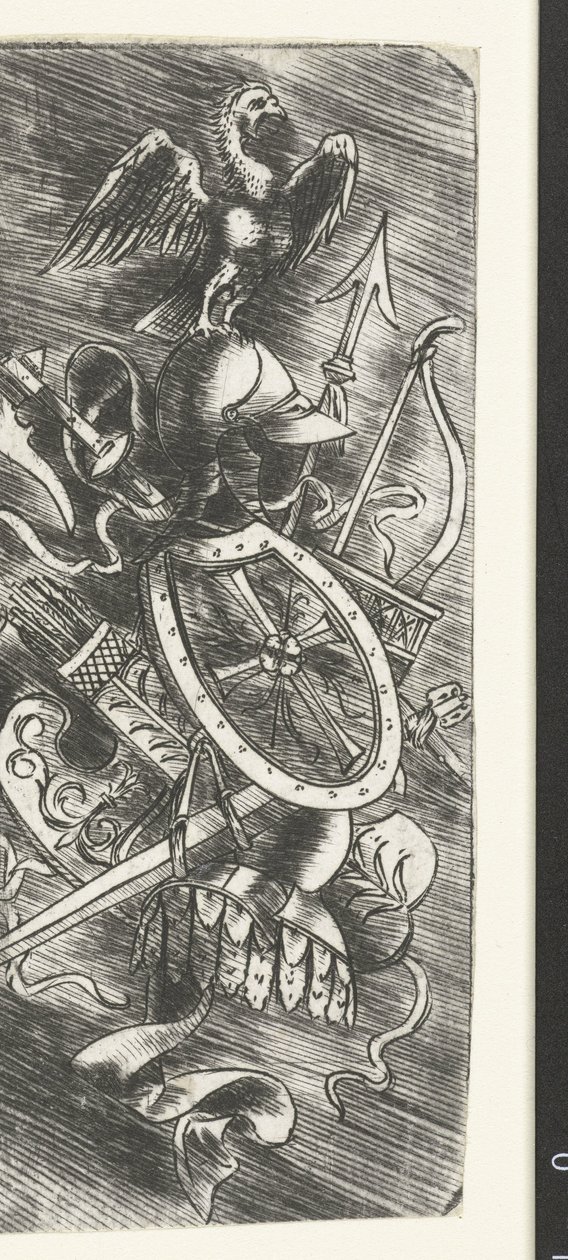 Aigle sur un trophée d