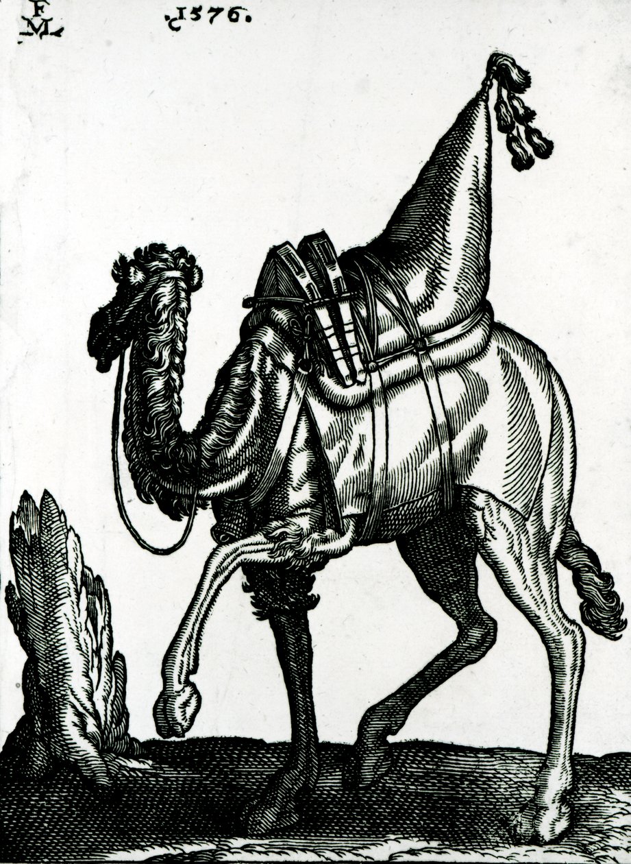 Chameau (gravure sur bois) - Melchior Lorck