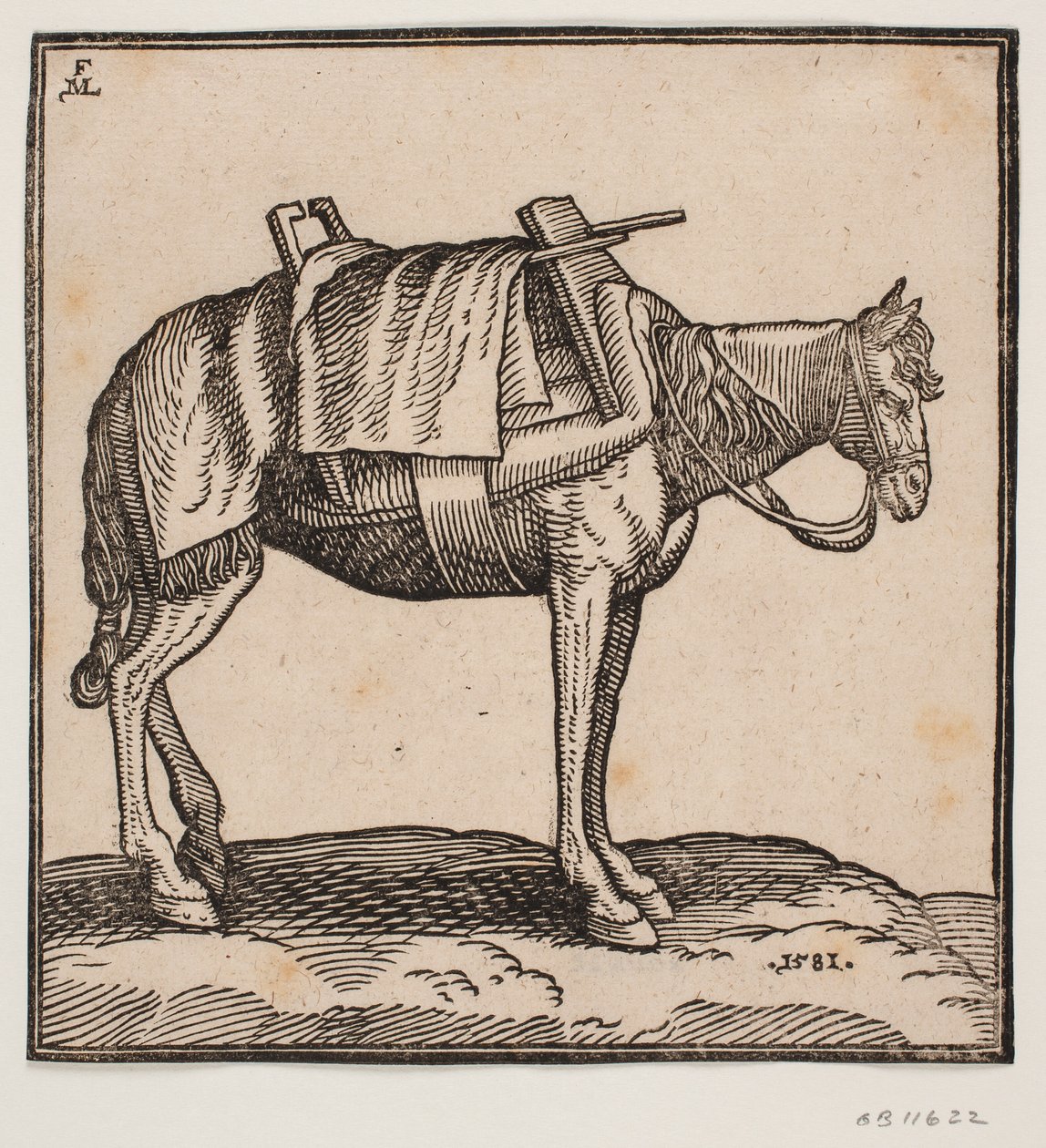 Un cheval de bât sellé - Melchior Lorck