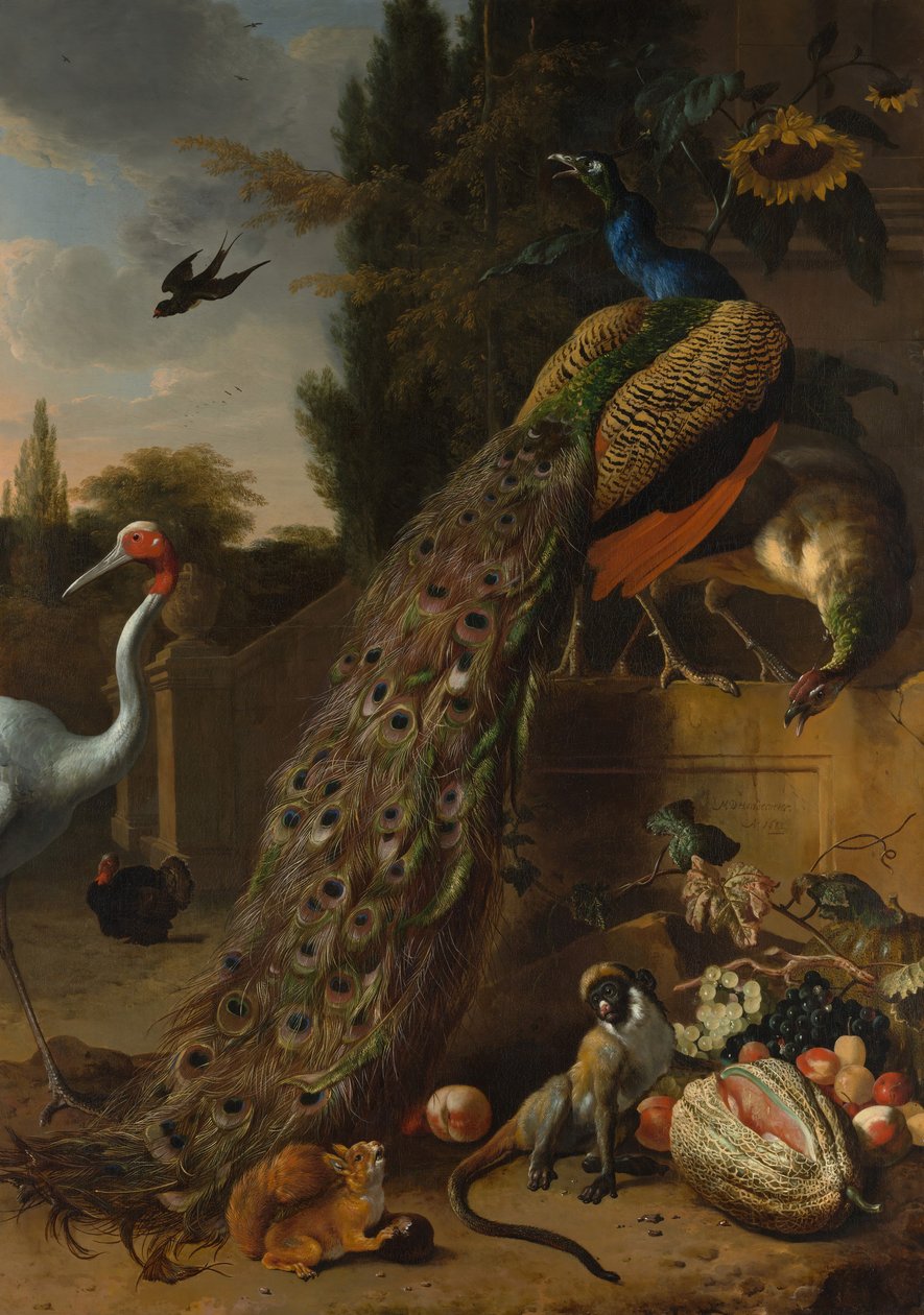 Paons, 1683 - Melchior d