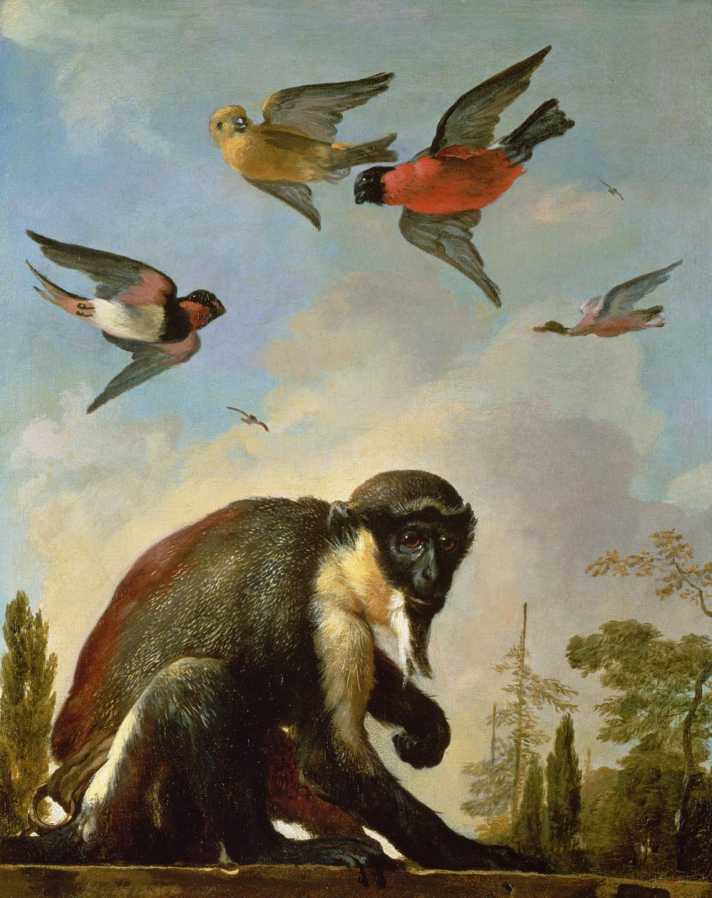 Singe enchaîné dans un paysage - Melchior de Hondecoeter