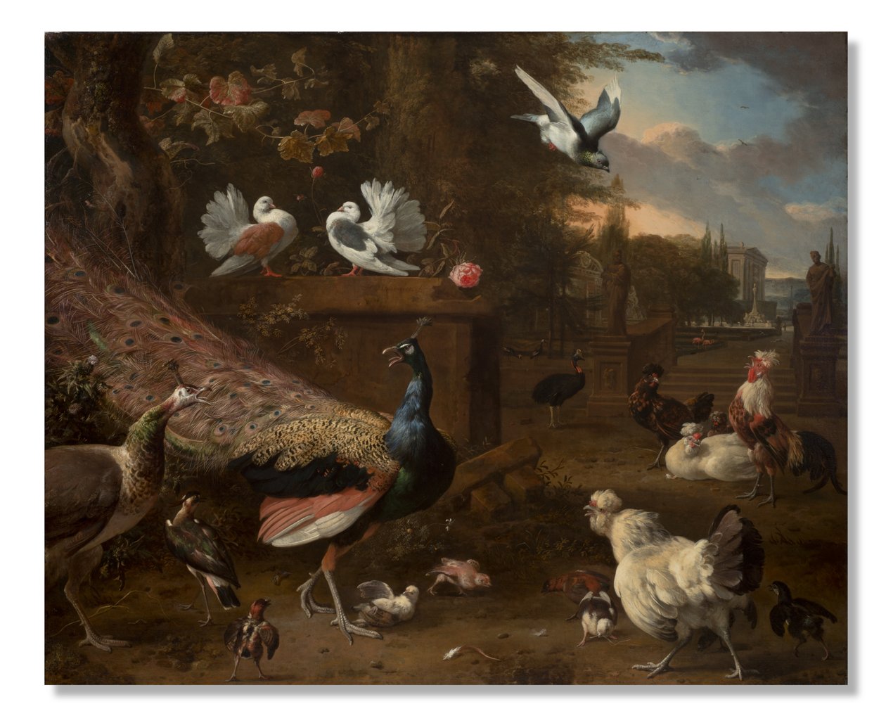 Ménagerie, vers 1680 - Melchior de Hondecoeter