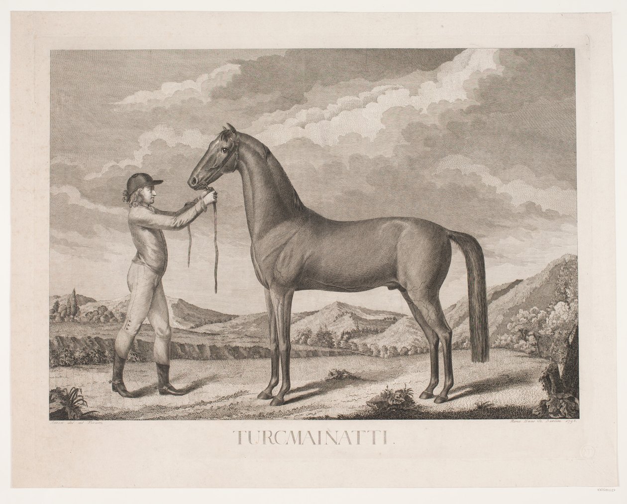 Le cheval "Turcmainatti" - Meno Haas
