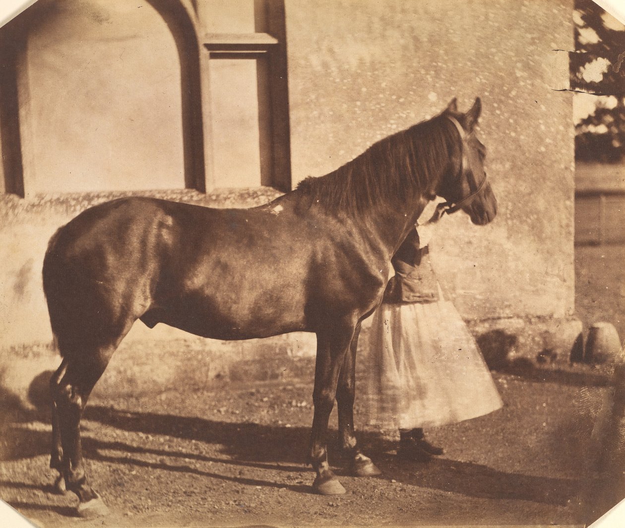 Sultan, milieu des années 1850 - Mervyn Herbert Nevil Story Maskelyne