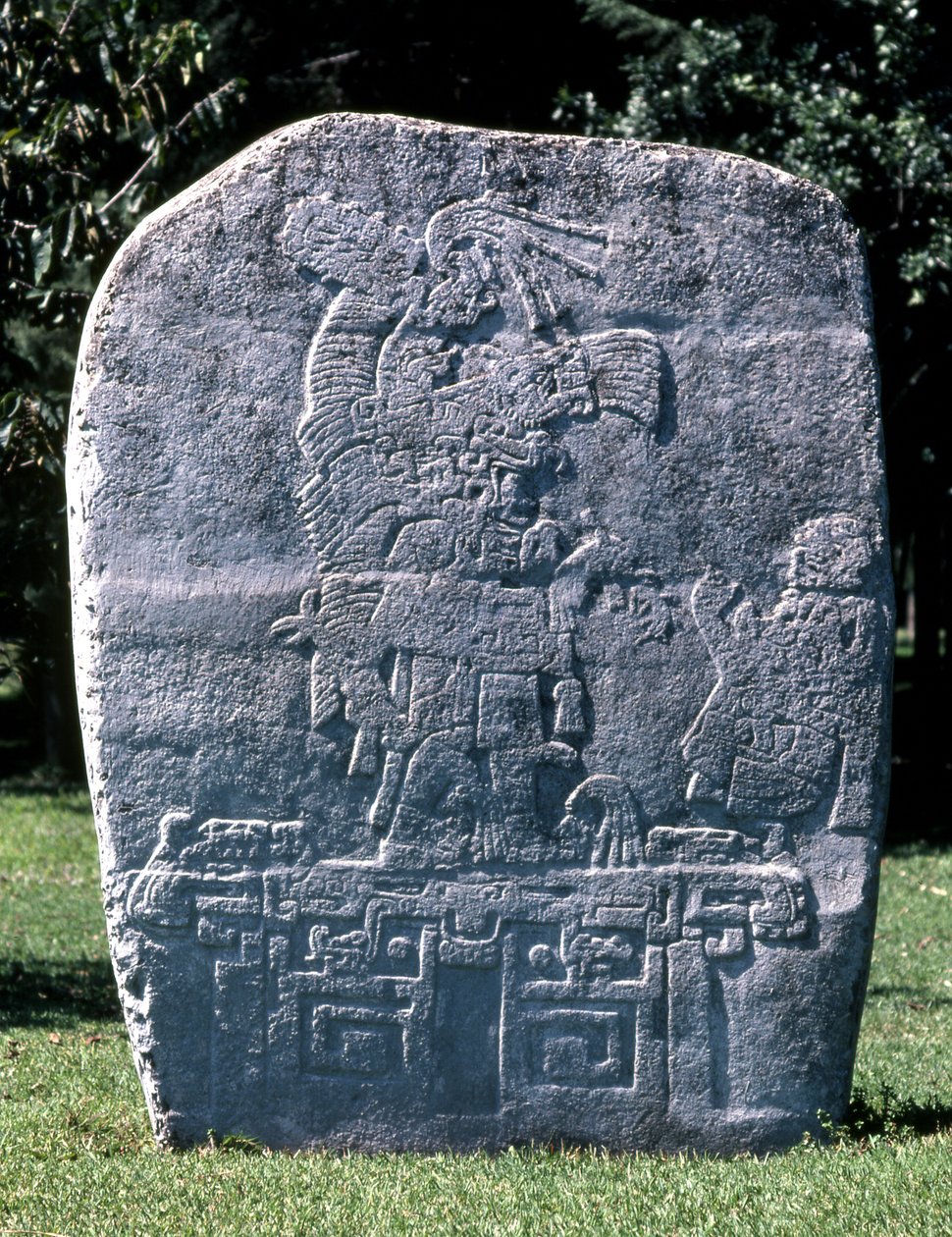 Stèle, d