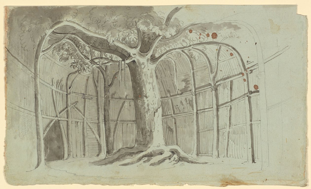 Cabane rudimentaire autour d