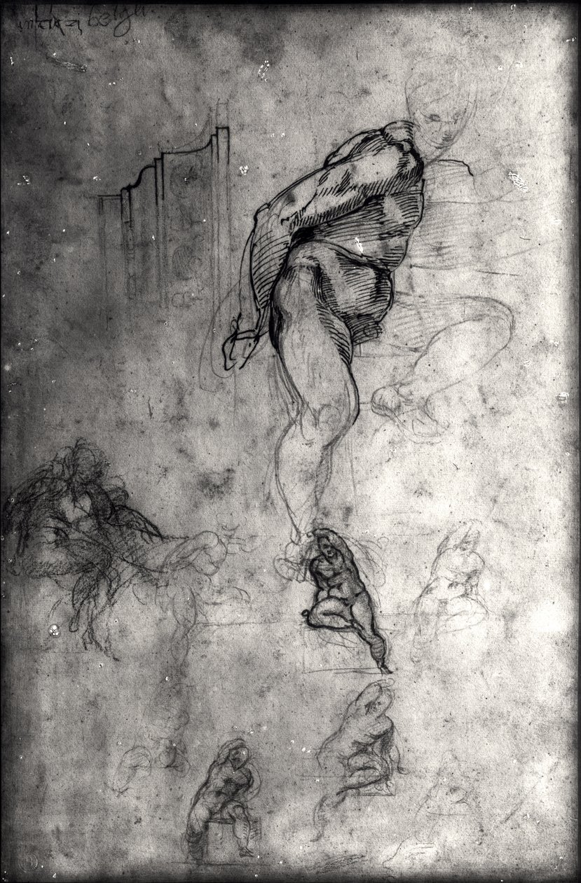 Études pour les figures du plafond de la chapelle Sixtine - Michelangelo Buonarroti