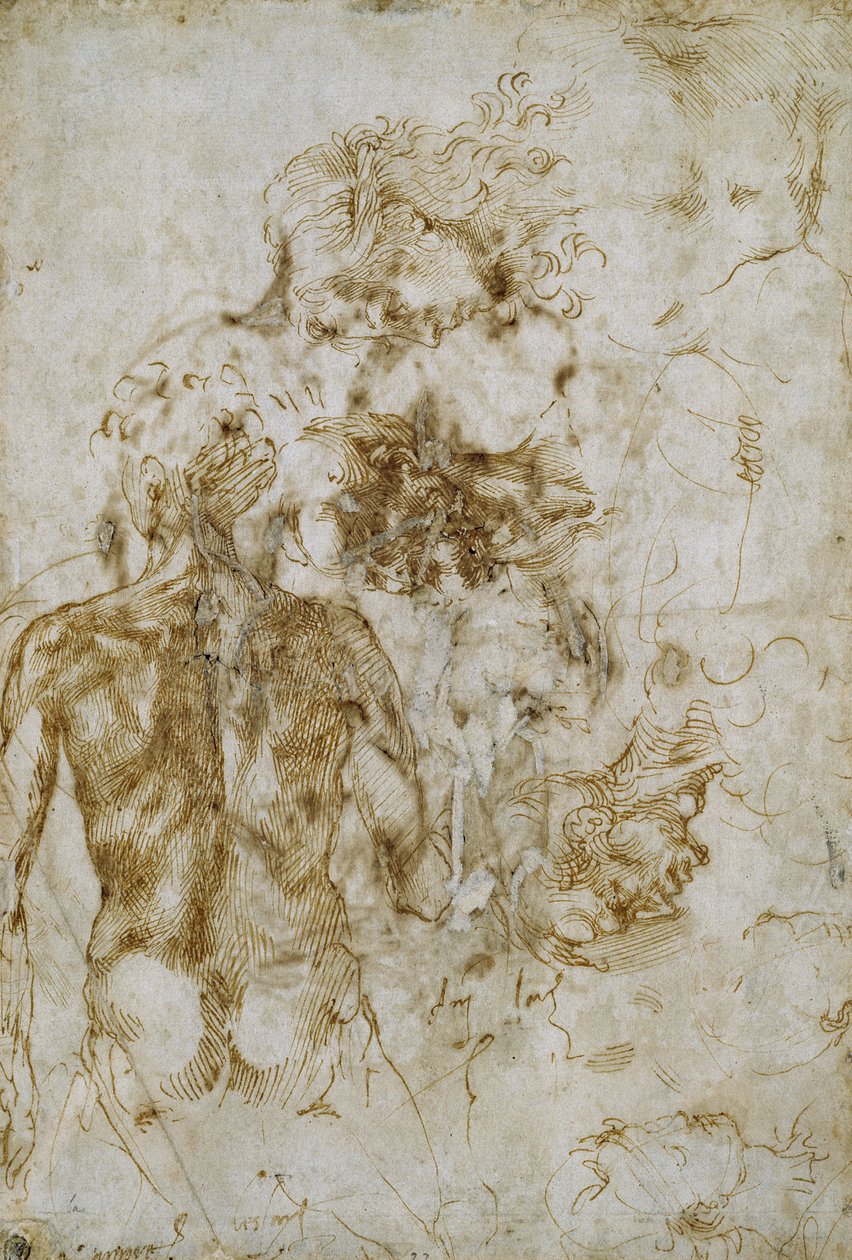Études de nu masculin - Michelangelo Buonarroti