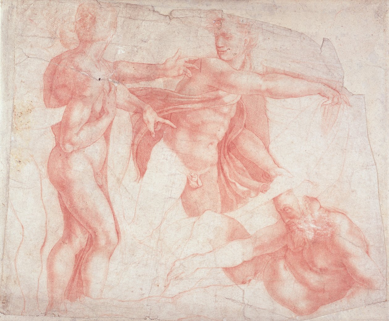 Études de nus masculins - Michelangelo Buonarroti