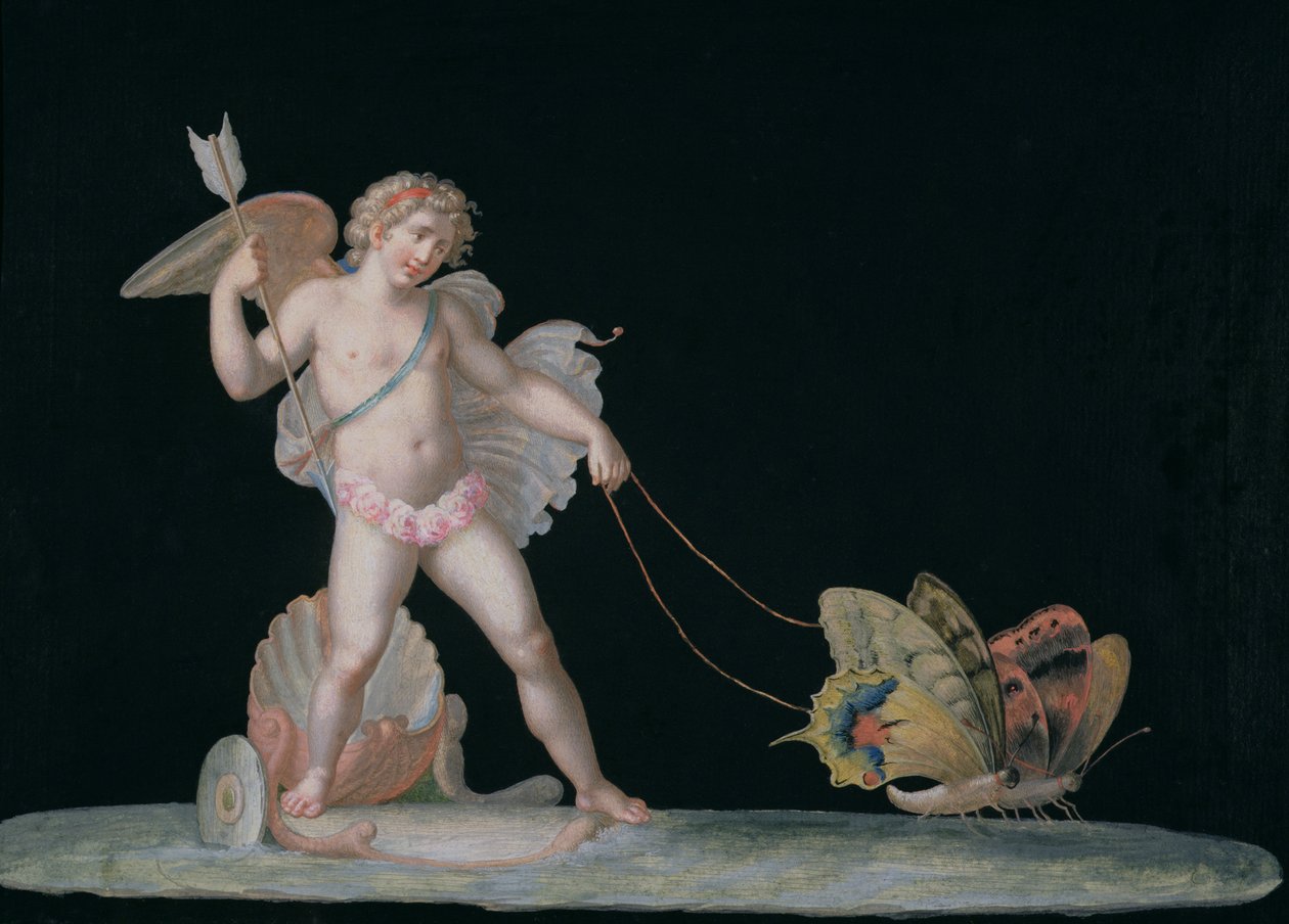 Cupidon conduit par des papillons - Michelangelo Maestri