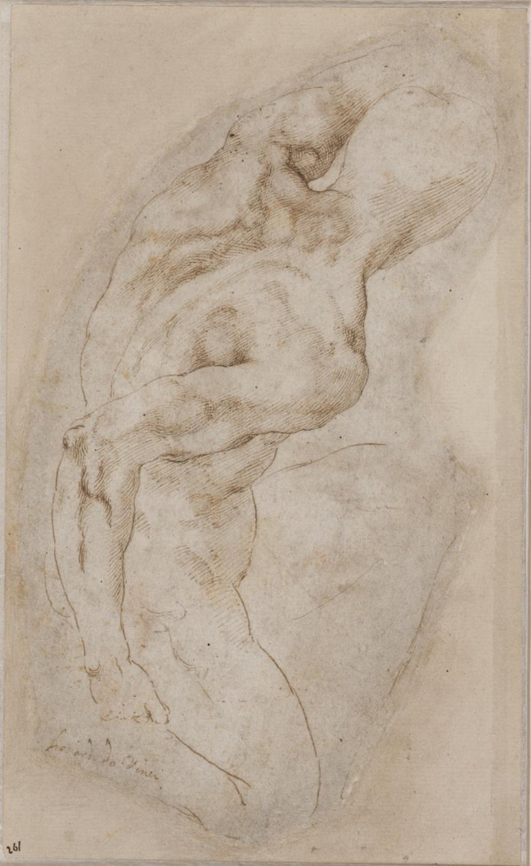 Un jeune homme agenouillé vu de dos - Michelangelo Buonarroti