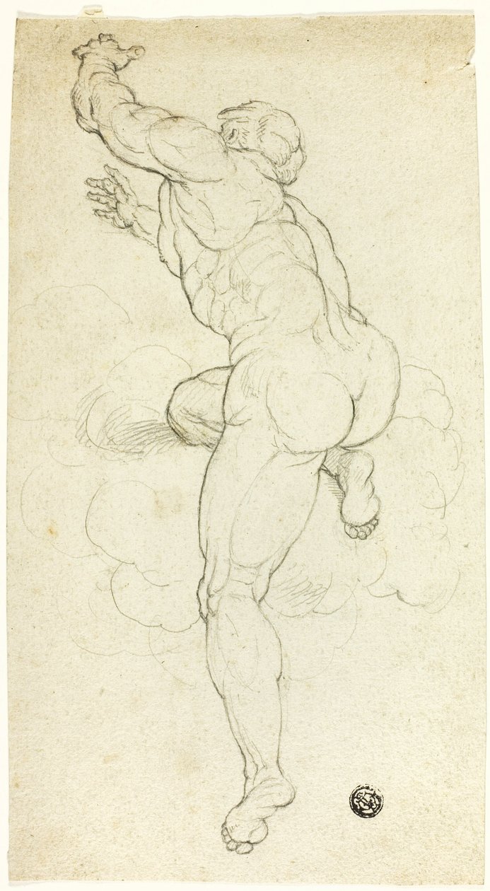 Nu masculin ascendant - Michelangelo Buonarroti