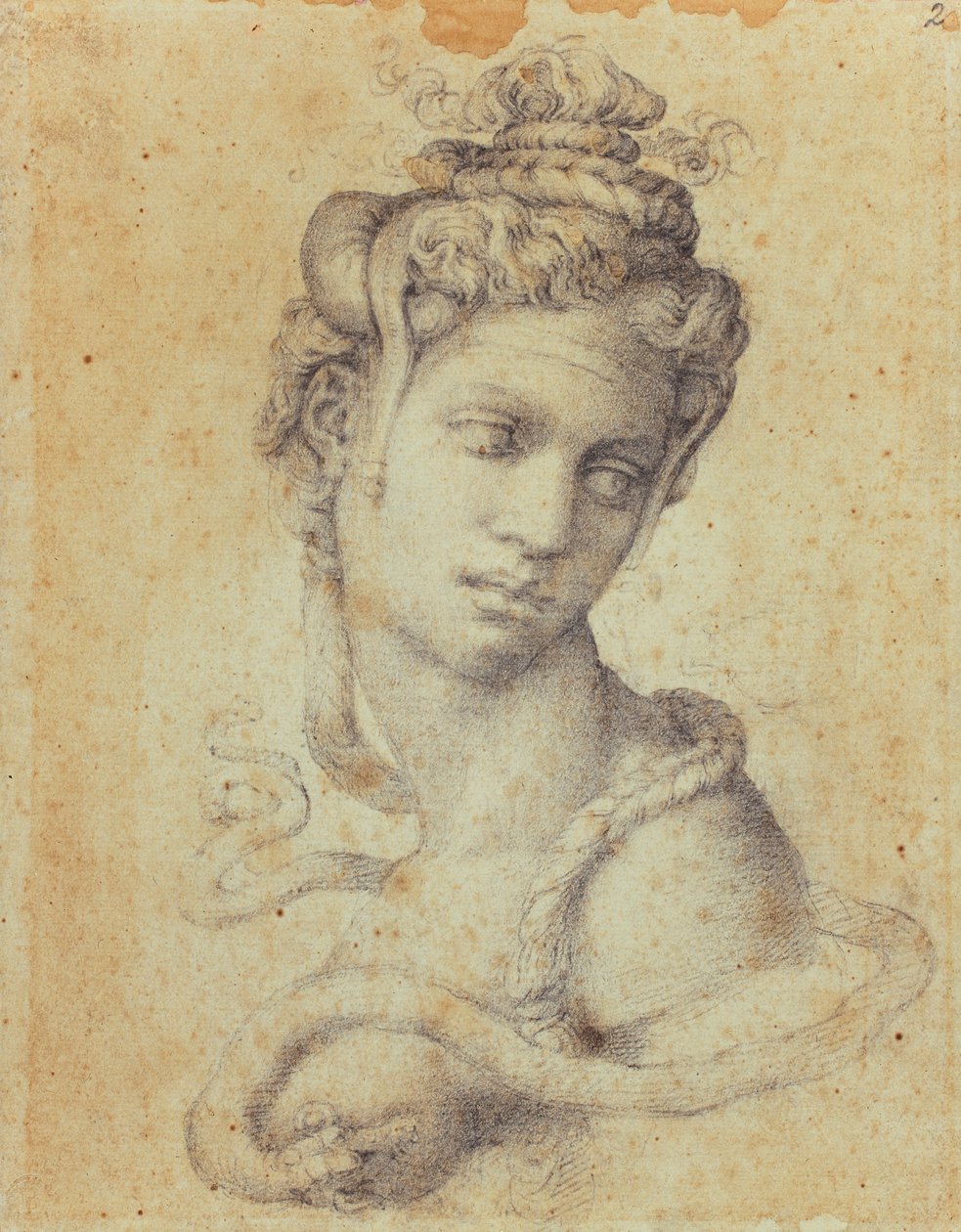 Cléopâtre - Michelangelo Buonarroti