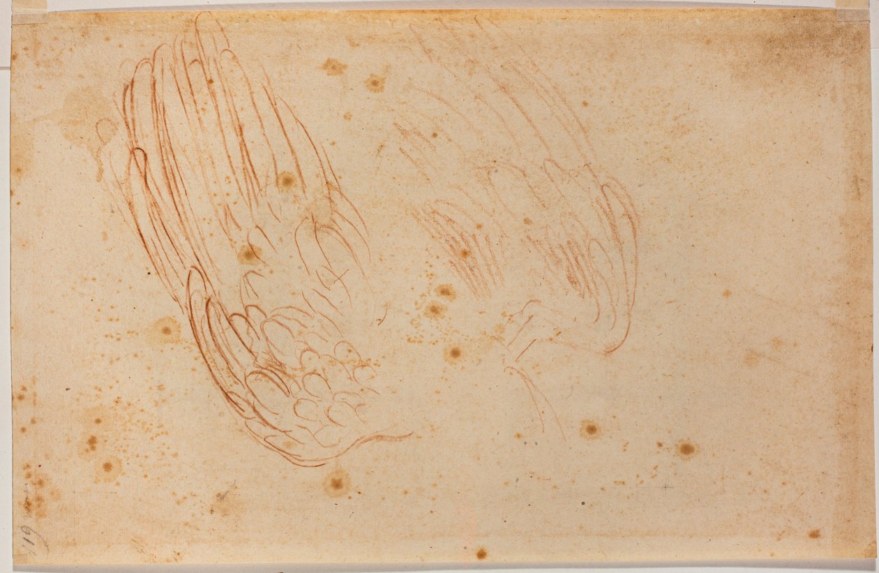 Croquis d