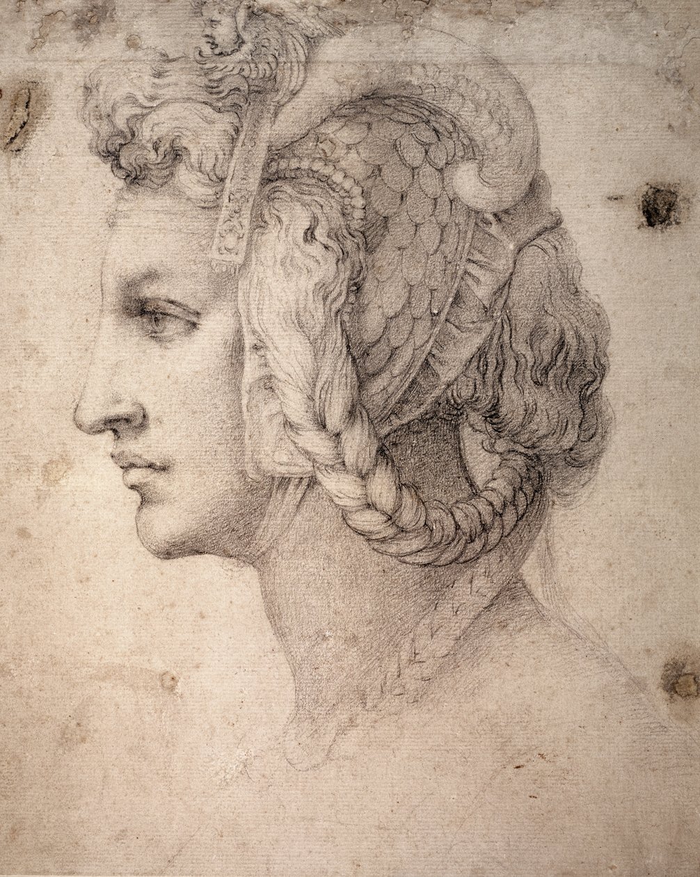 Étude de tête - Michelangelo Buonarroti