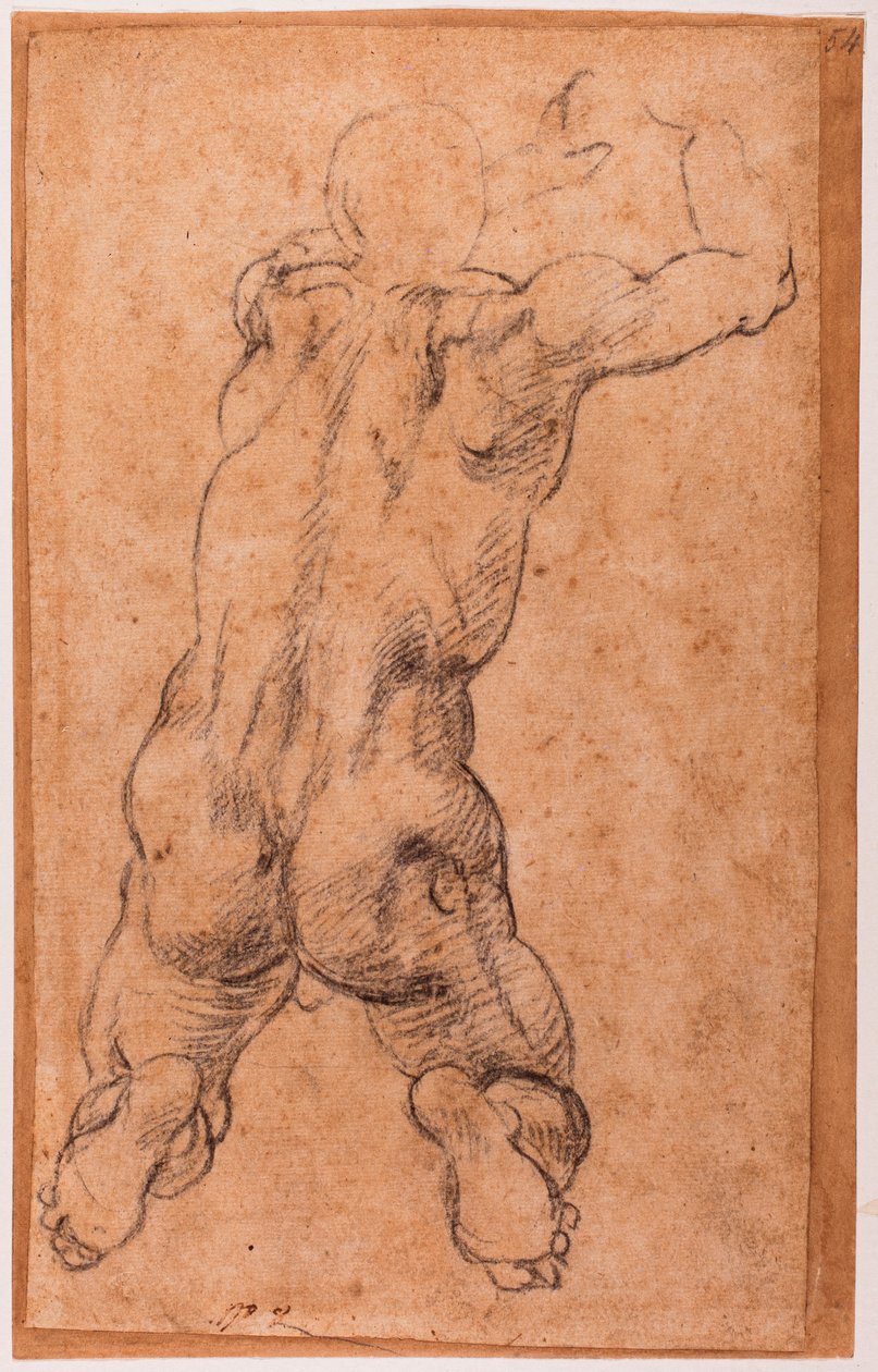 Étude de nu masculin agenouillé - Michelangelo Buonarroti