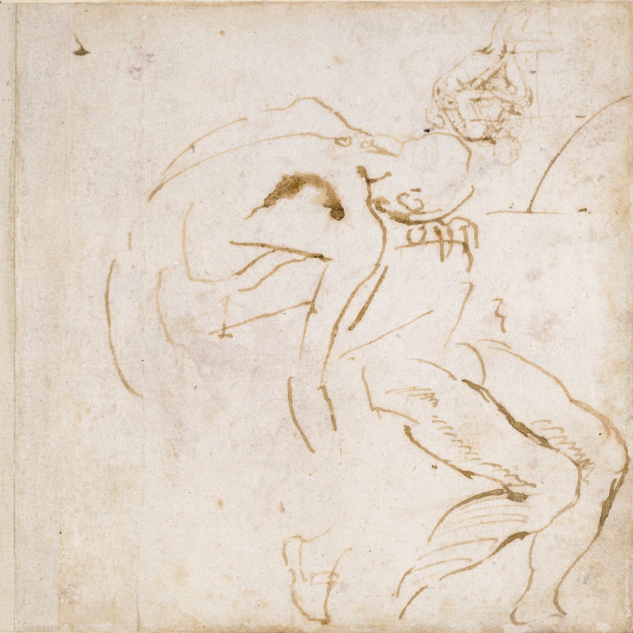 Deux études partielles de figures - Michelangelo Buonarroti