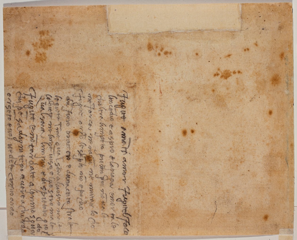 Versi autografi - Michelangelo Buonarroti