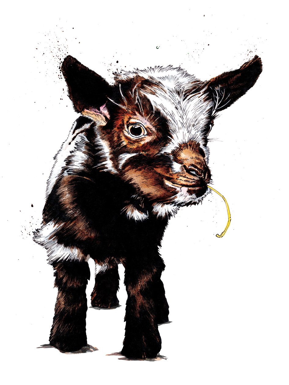 Chevreau sur Blanc, 2020 - Mike Davis