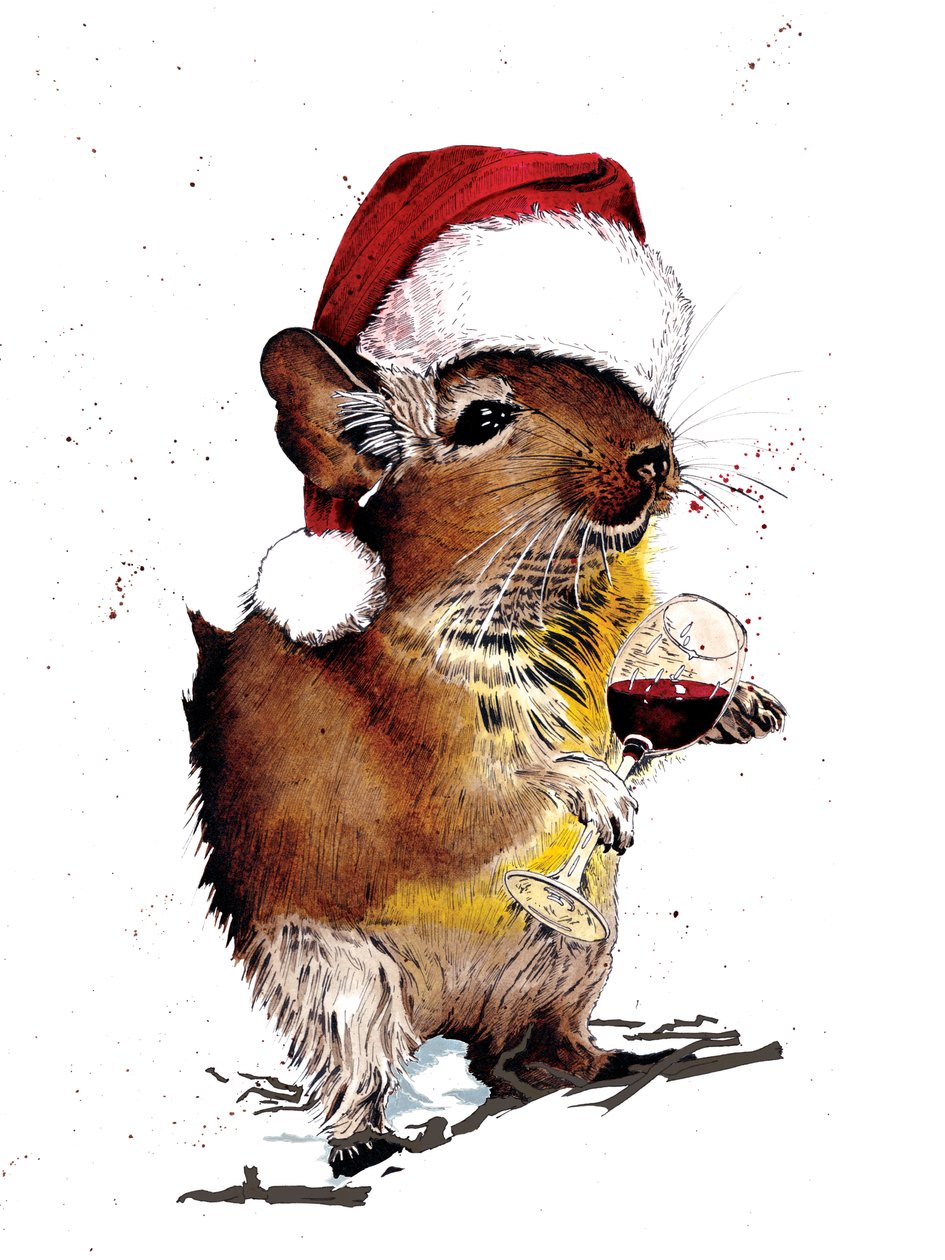 Degu de Noël sur fond blanc, 2020 - Mike Davis