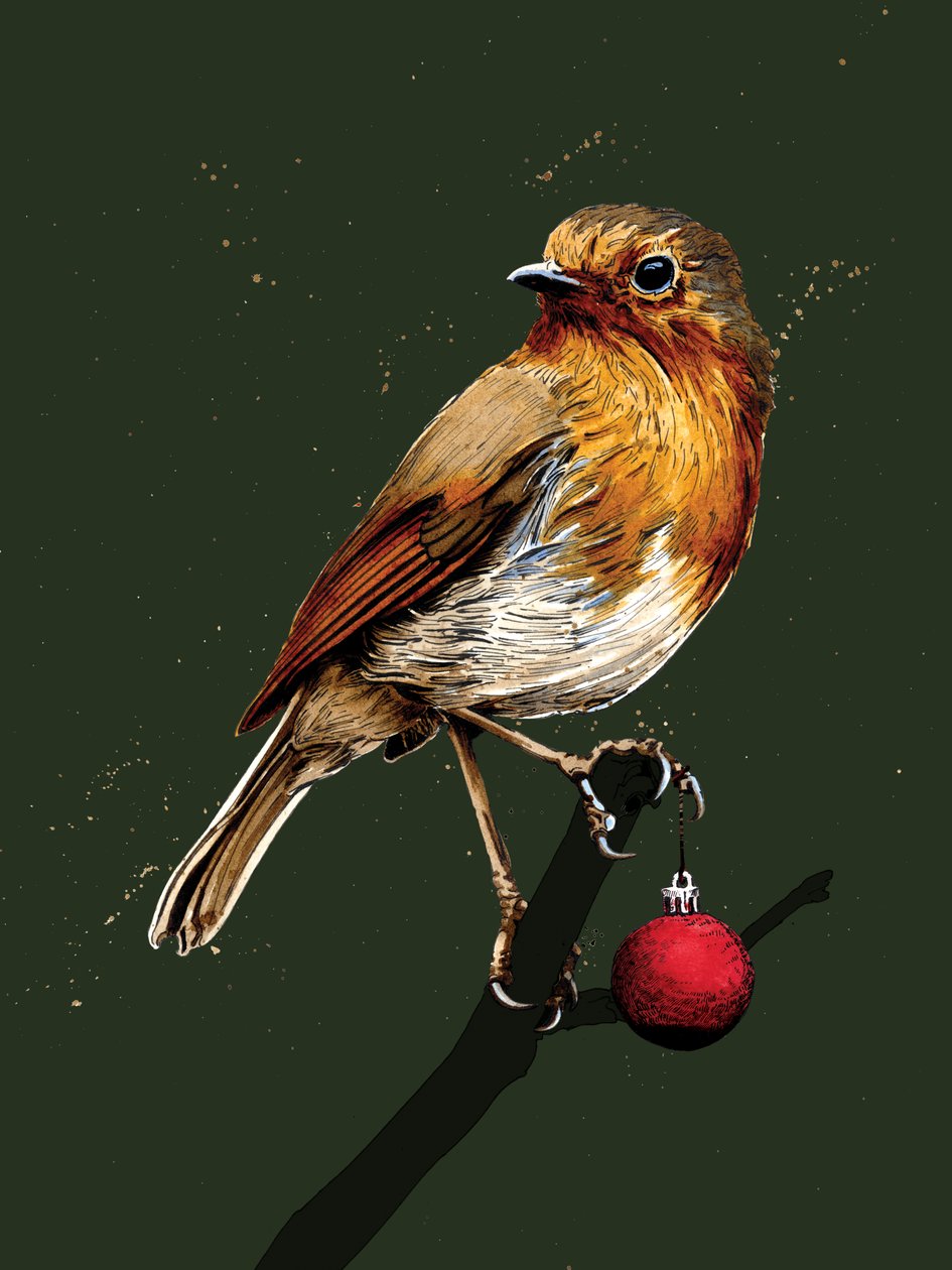 Rouge-gorge de Noël sur fond vert forêt, 2020 - Mike Davis