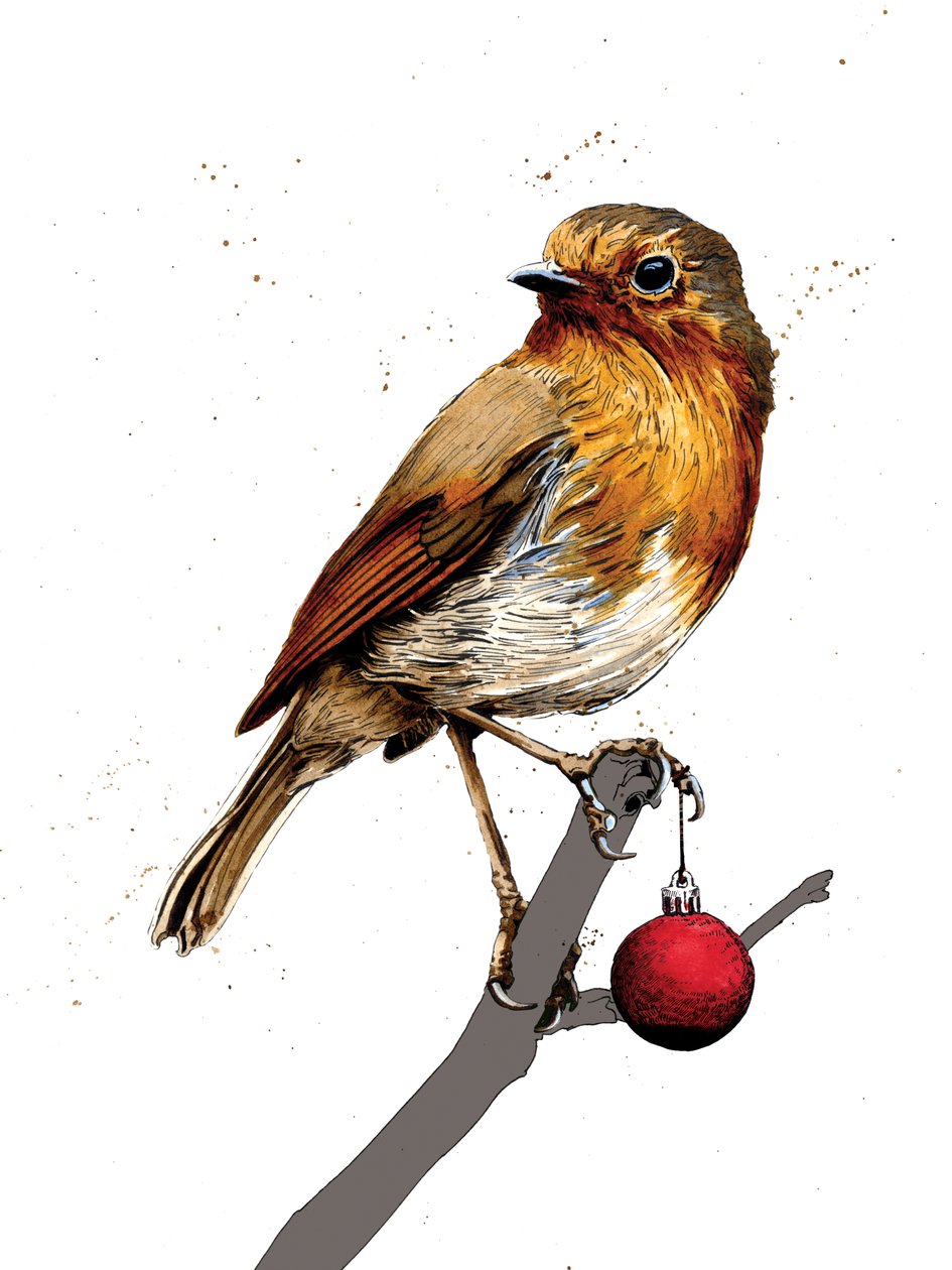 Rouge-gorge de Noël sur blanc, 2020 - Mike Davis