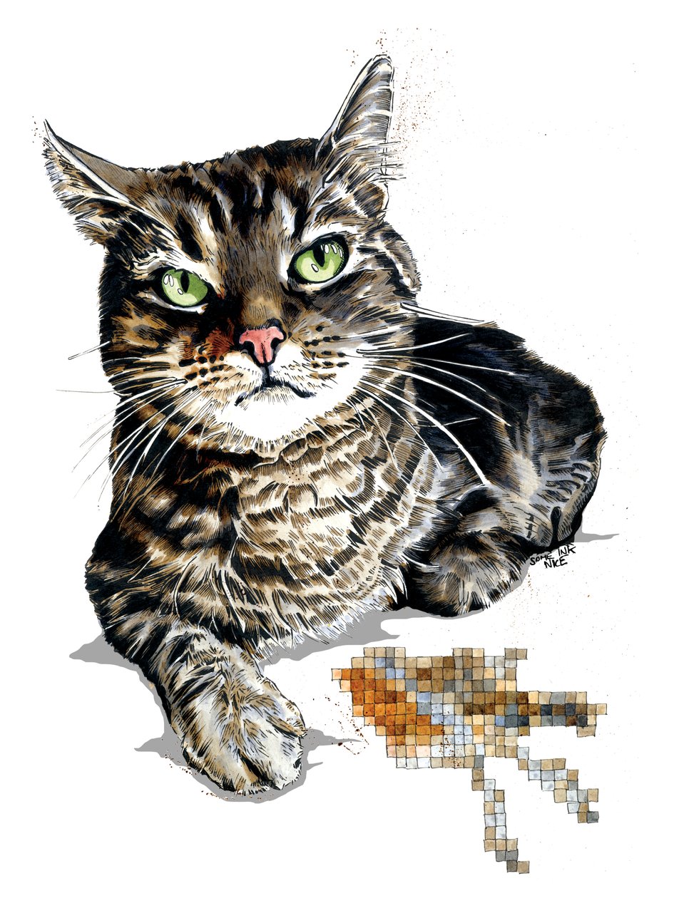 Chat Cadeau sur Blanc, 2020 - Mike Davis