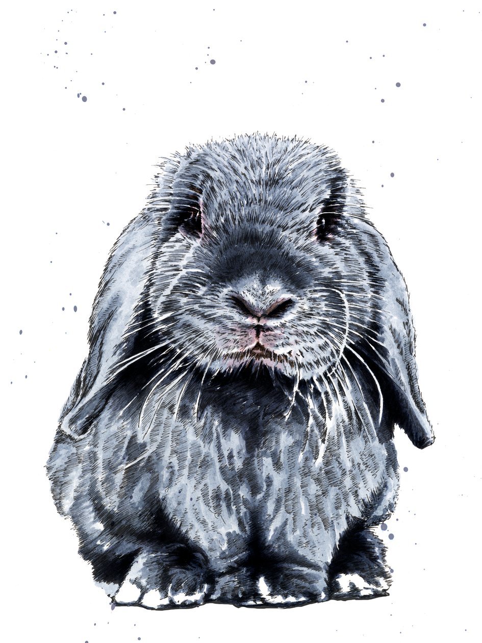 Le Lapin Gris sur Blanc, 2019 - Mike Davis