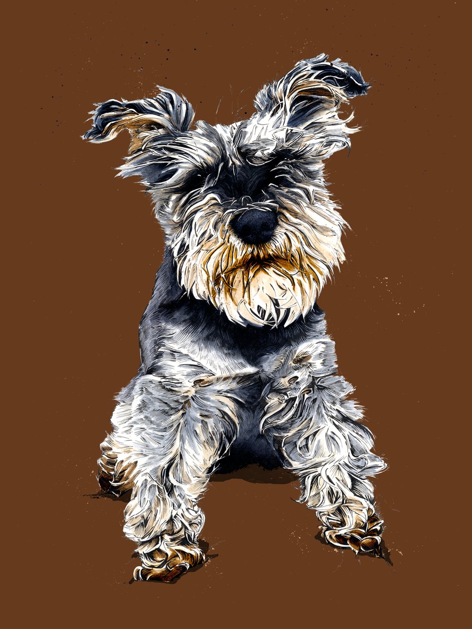 Ollie le Schnauzer sur Orange Brûlé - Mike Davis