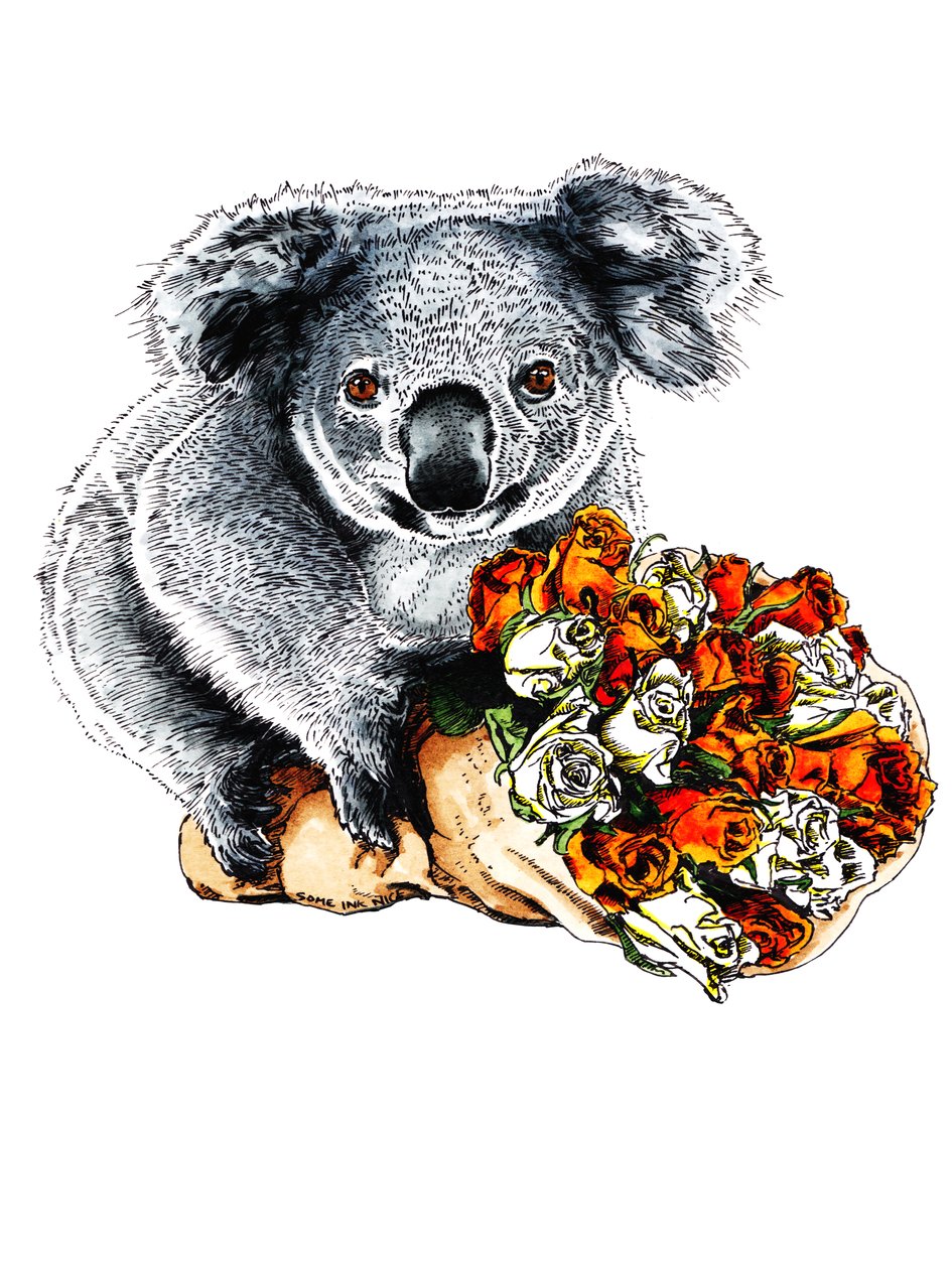 Merci koala sur fond blanc, 2020 - Mike Davis