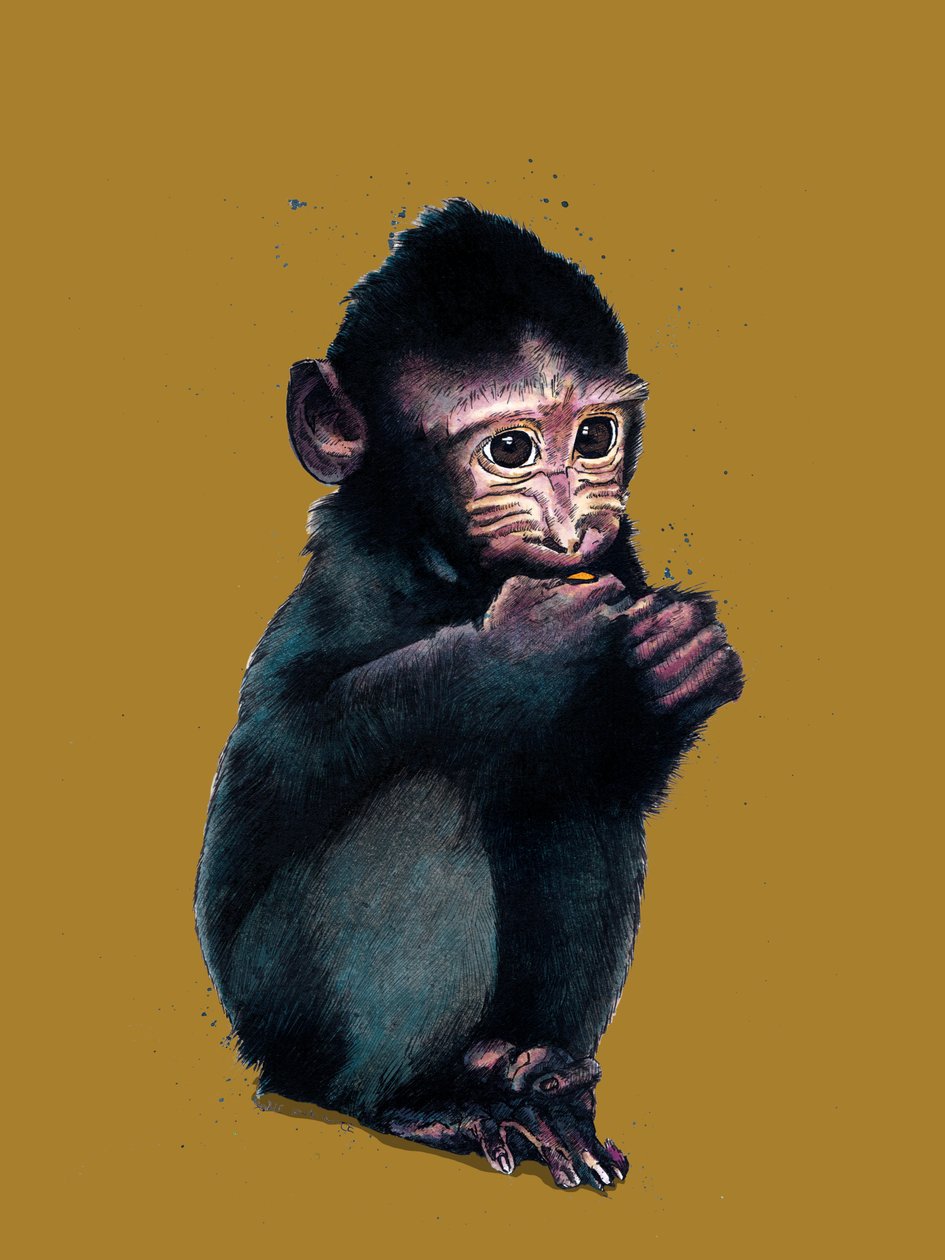 Le bébé macaque sur fond jaune doré, 2020 - Mike Davis