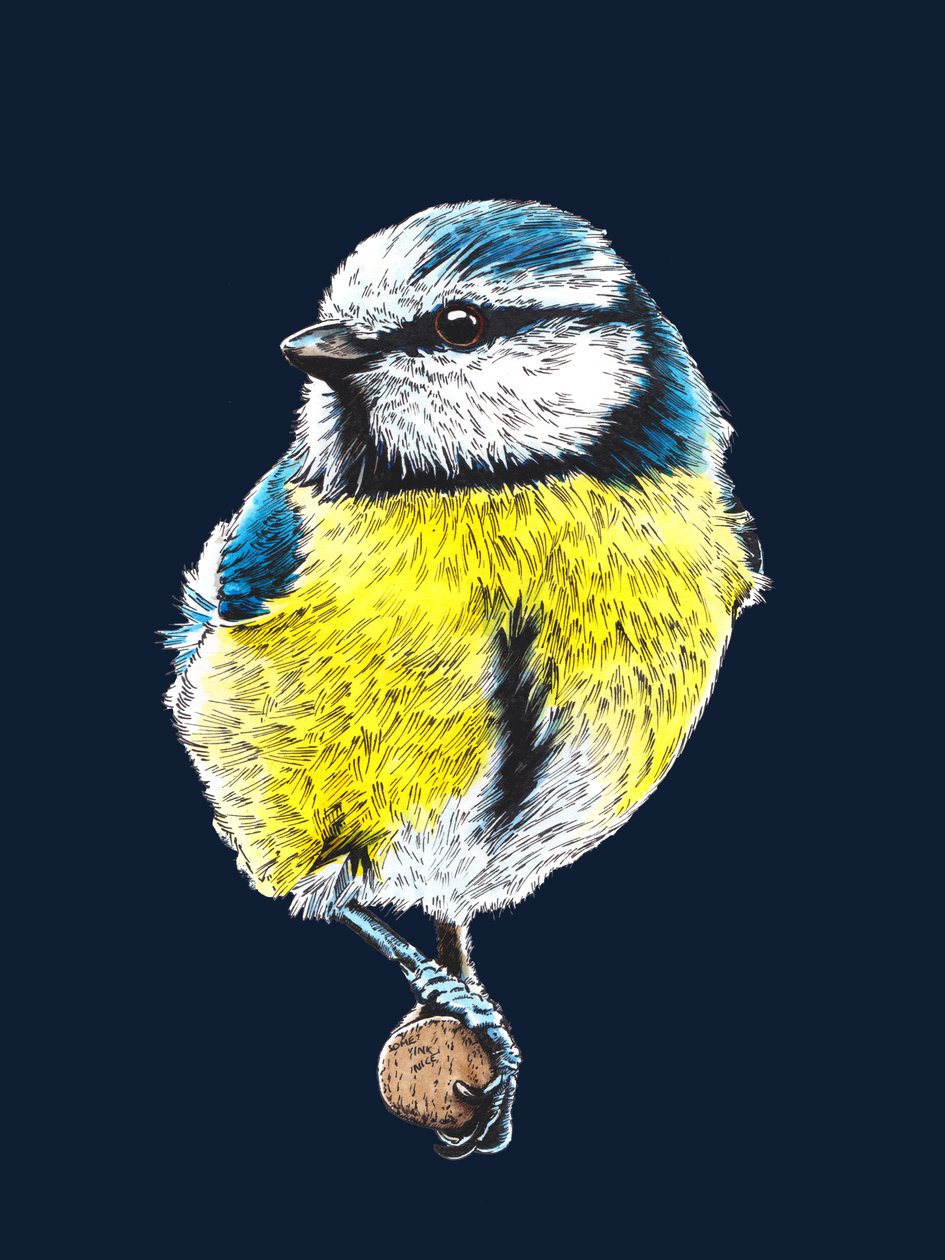 La Mésange Bleue sur Bleu Nuit - Mike Davis
