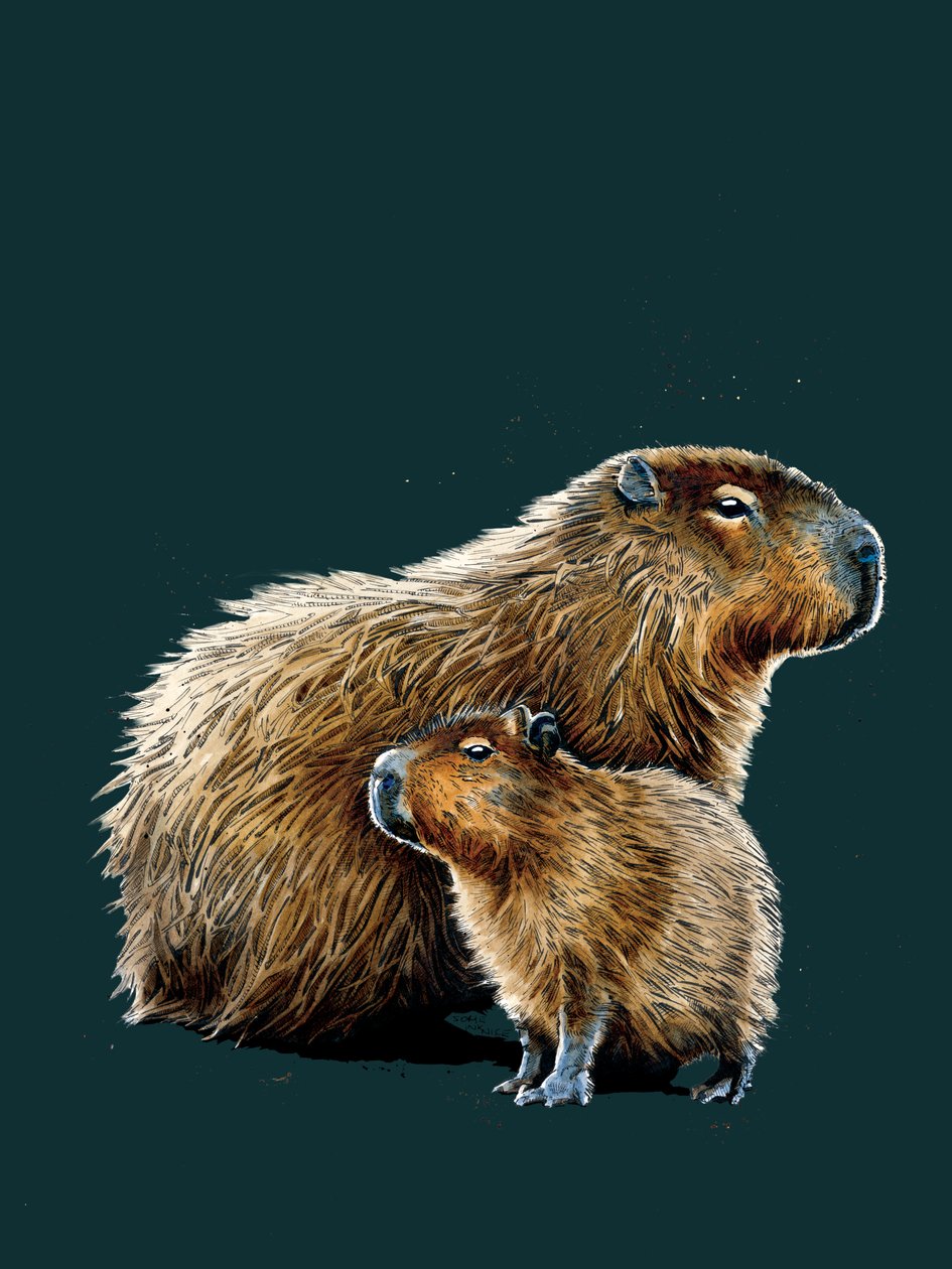 Les Capybaras sur cyan profond, 2020 - Mike Davis