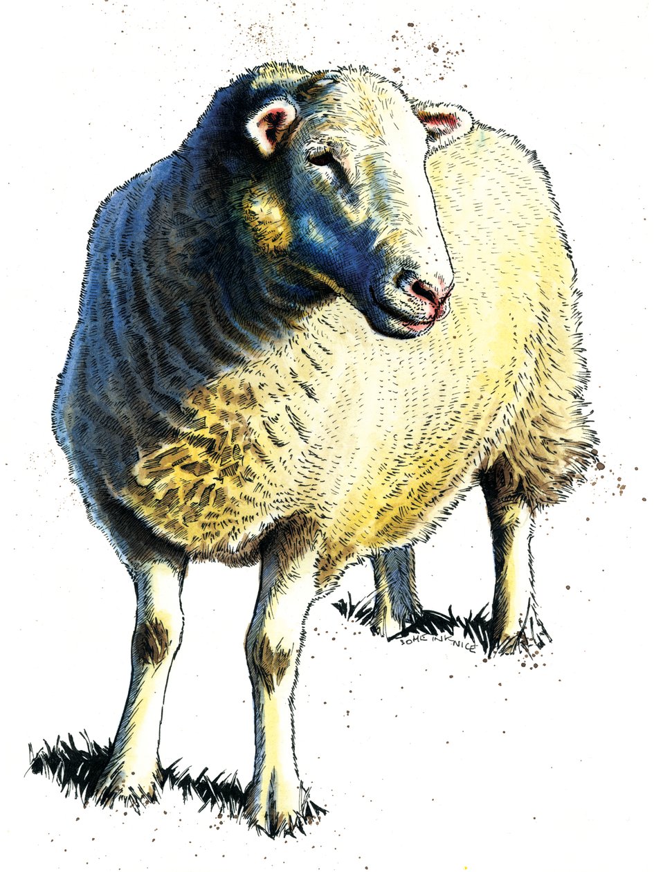 Le Mouton sur Blanc, 2020 - Mike Davis