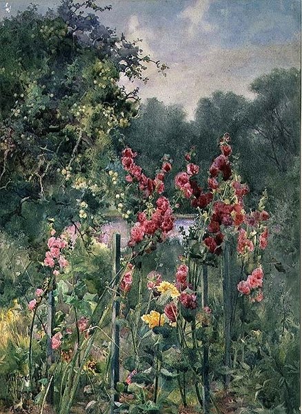 Rose trémière - Mildred Anne Butler