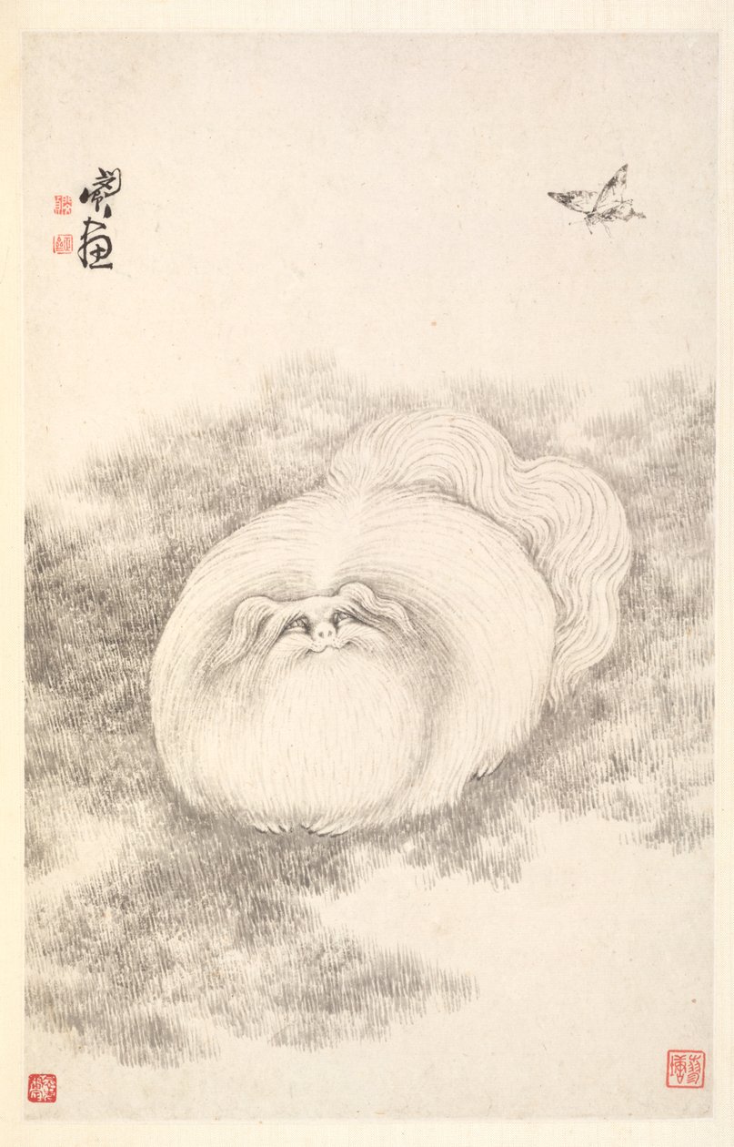 Chat et papillon - Min Zhen