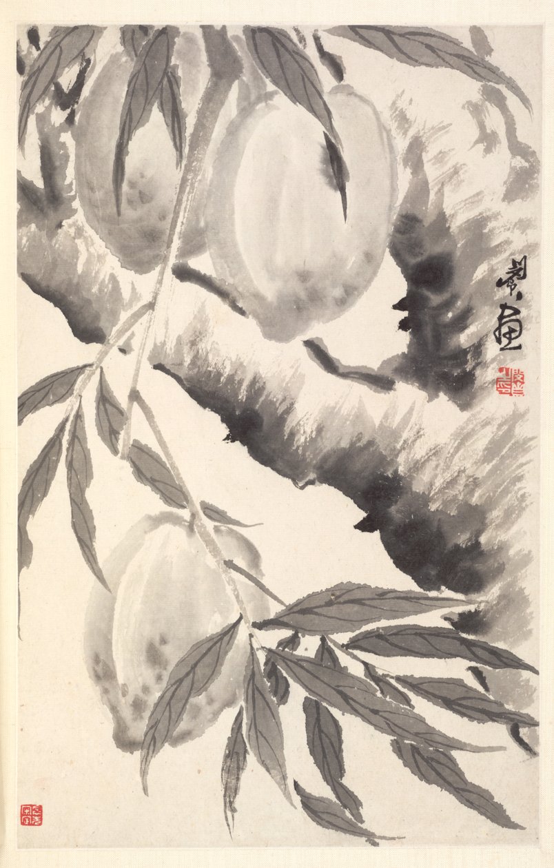 Pêches - Min Zhen