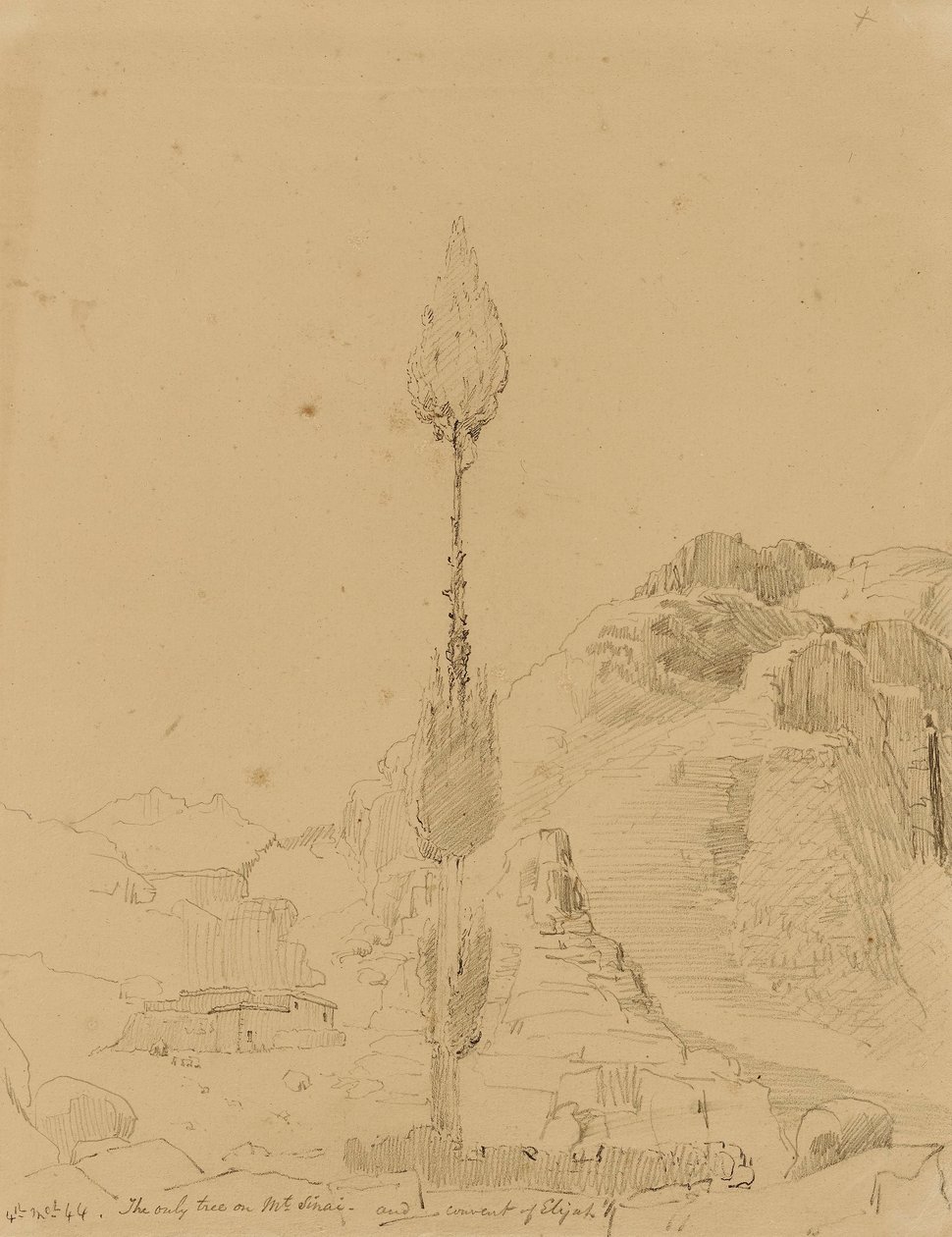 Chêne sur le mont Sinaï - Miner Kilbourne Kellogg