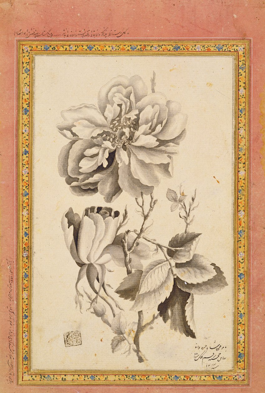 Rose, 1799-1800 - Mirza Baba