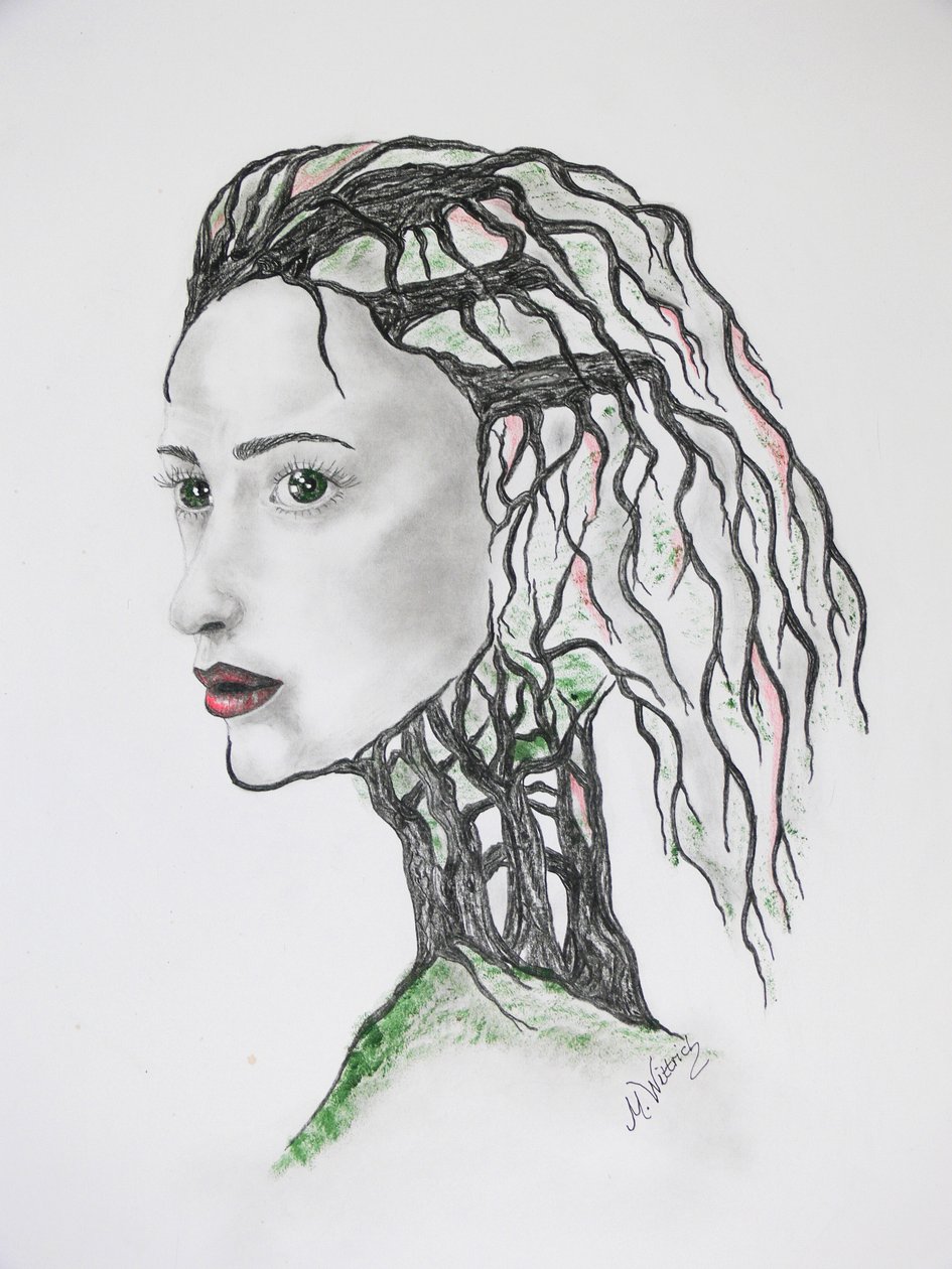 Mort des arbres - Monika Wittrich