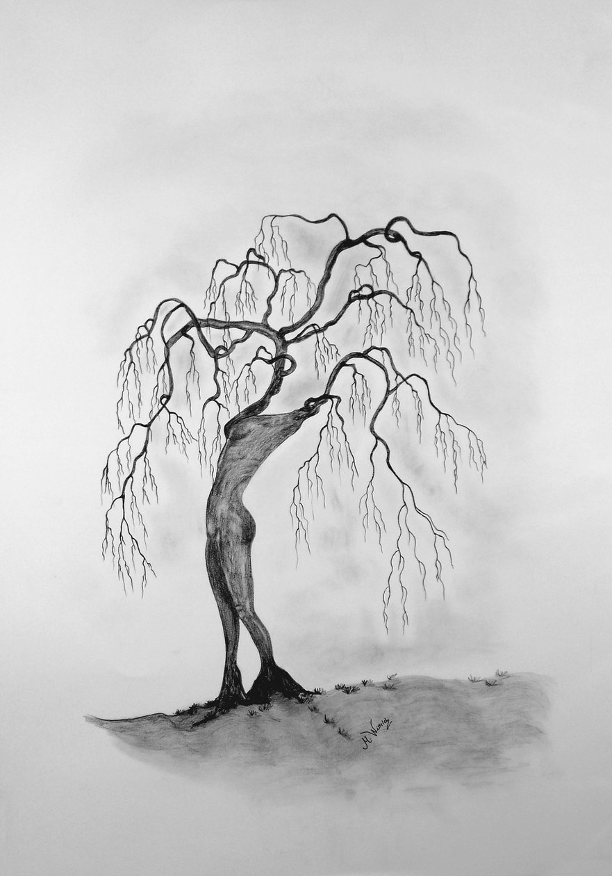 Mort des arbres 3 - Monika Wittrich