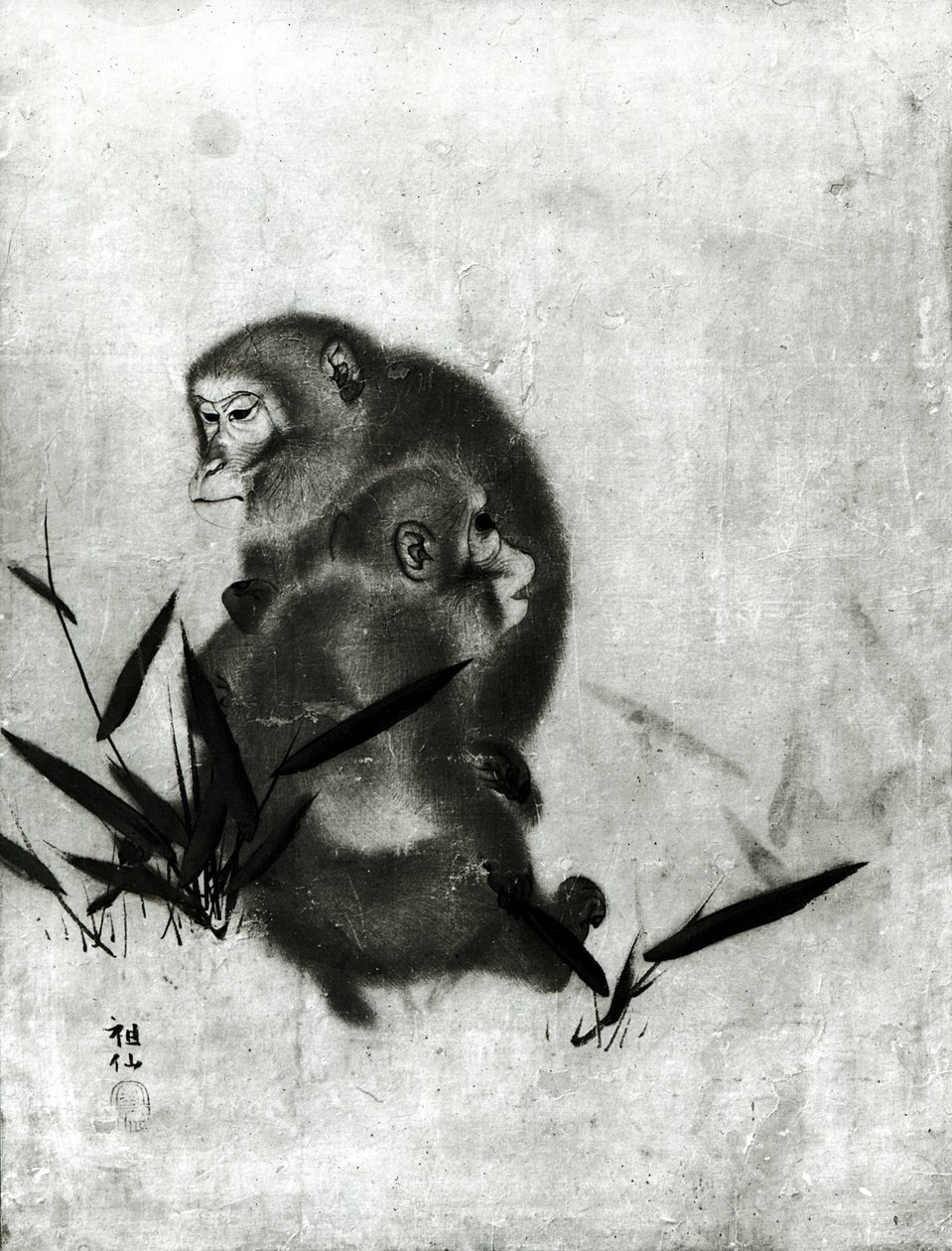 Singes - Mori Sosen