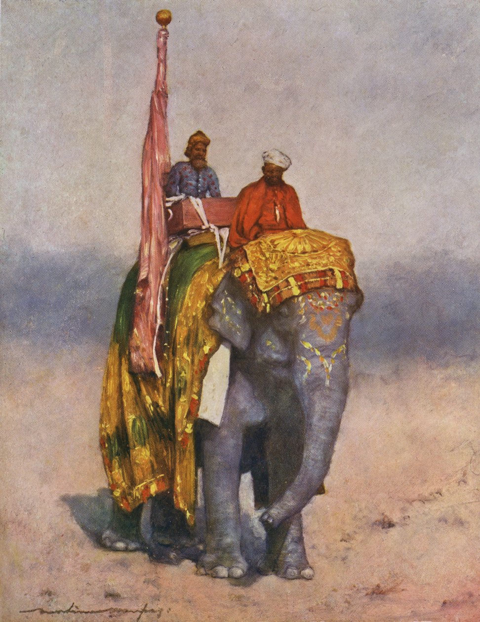 Homme riche montant un éléphant - Inde, début du 20e siècle - Mortimer Ludington Menpes