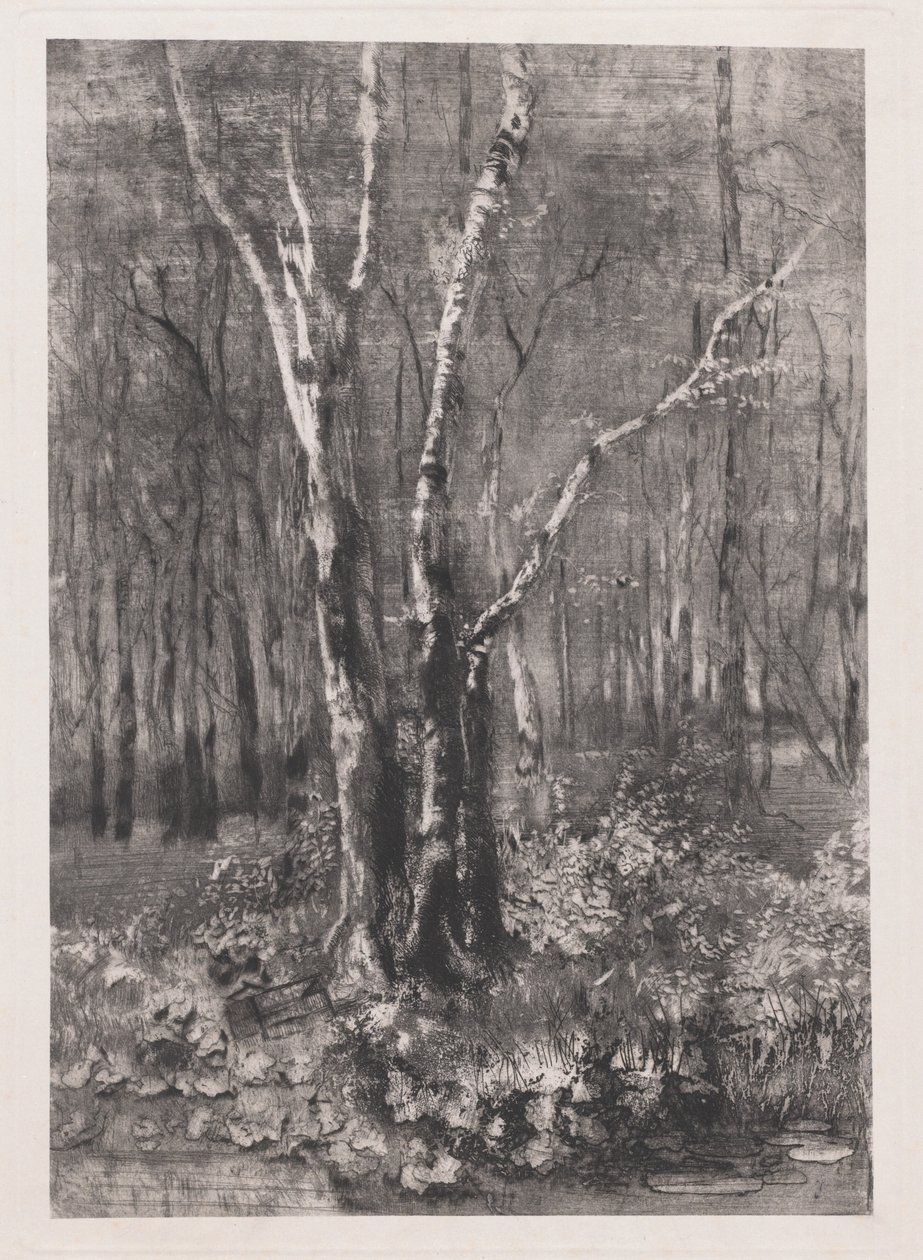 Bois dans le parc près de Monza - Mose Bianchi