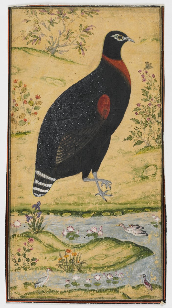 Un francolin dans un paysage, peinture, fin du XVIIe siècle - Mughal School