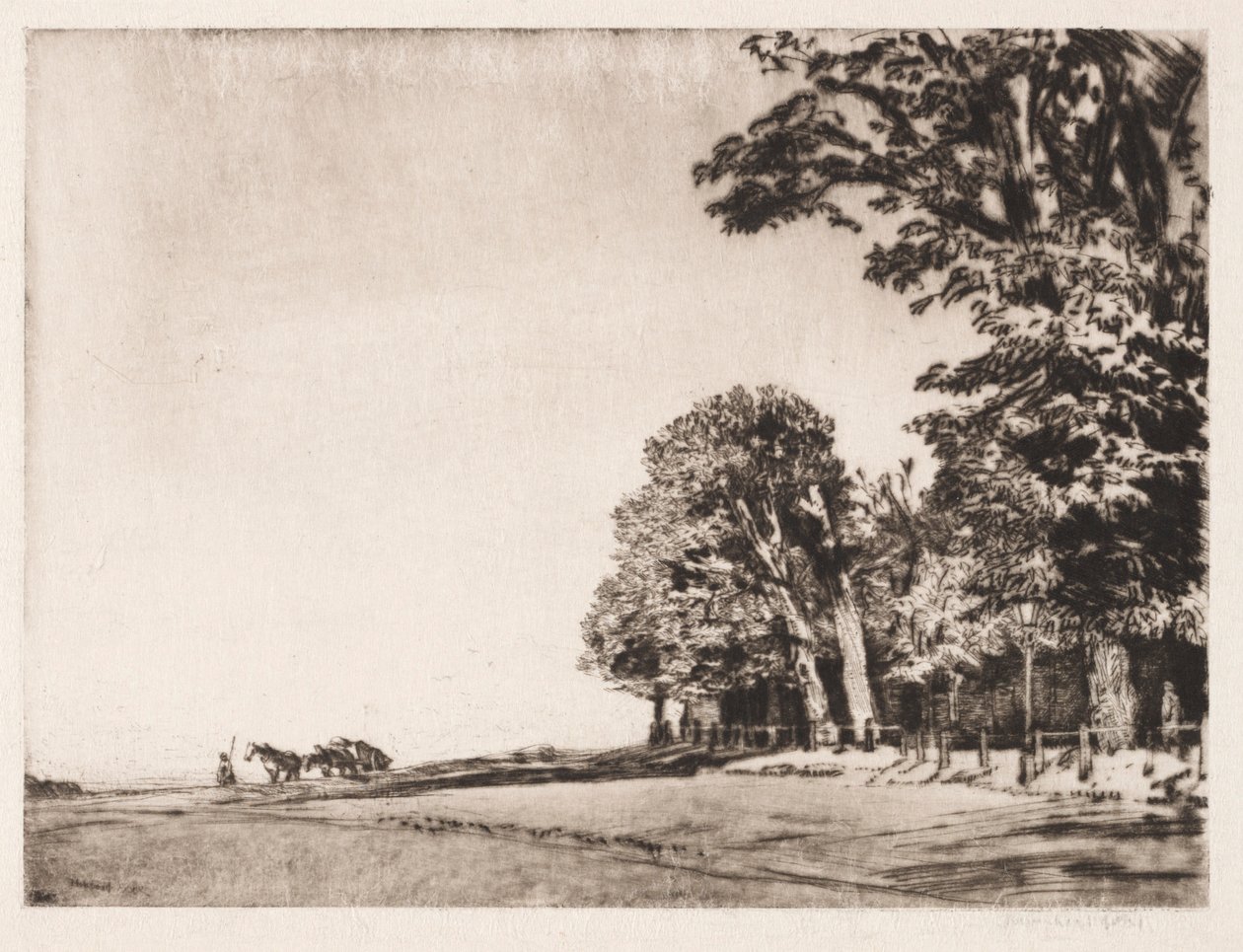 Hampstead Heath - Muirhead Bone