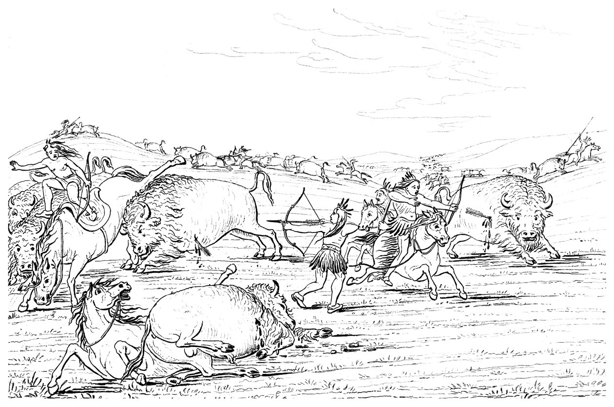 Amérindiens chassant le bison, 1841 - Myers and Co