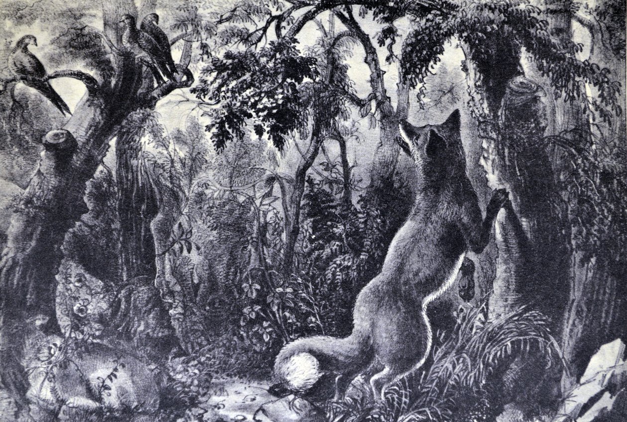 Le renard perplexe - N. and Ives, J.M. Currier
