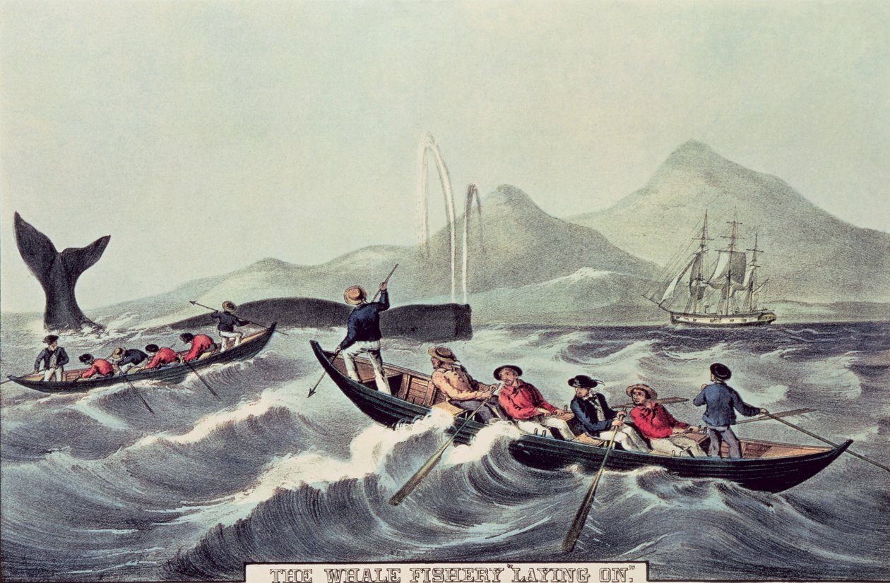 La pêche à la baleine 